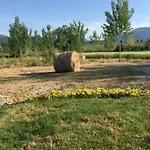 Il Girasole Bed & Breakfast