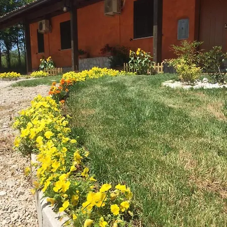 Il Girasole Bed & Breakfast *