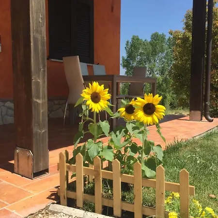 Il Girasole Couette-café Ceprano