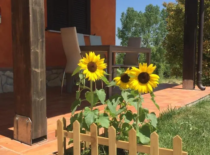 Il Girasole Nocleg ze śniadaniem Ceprano